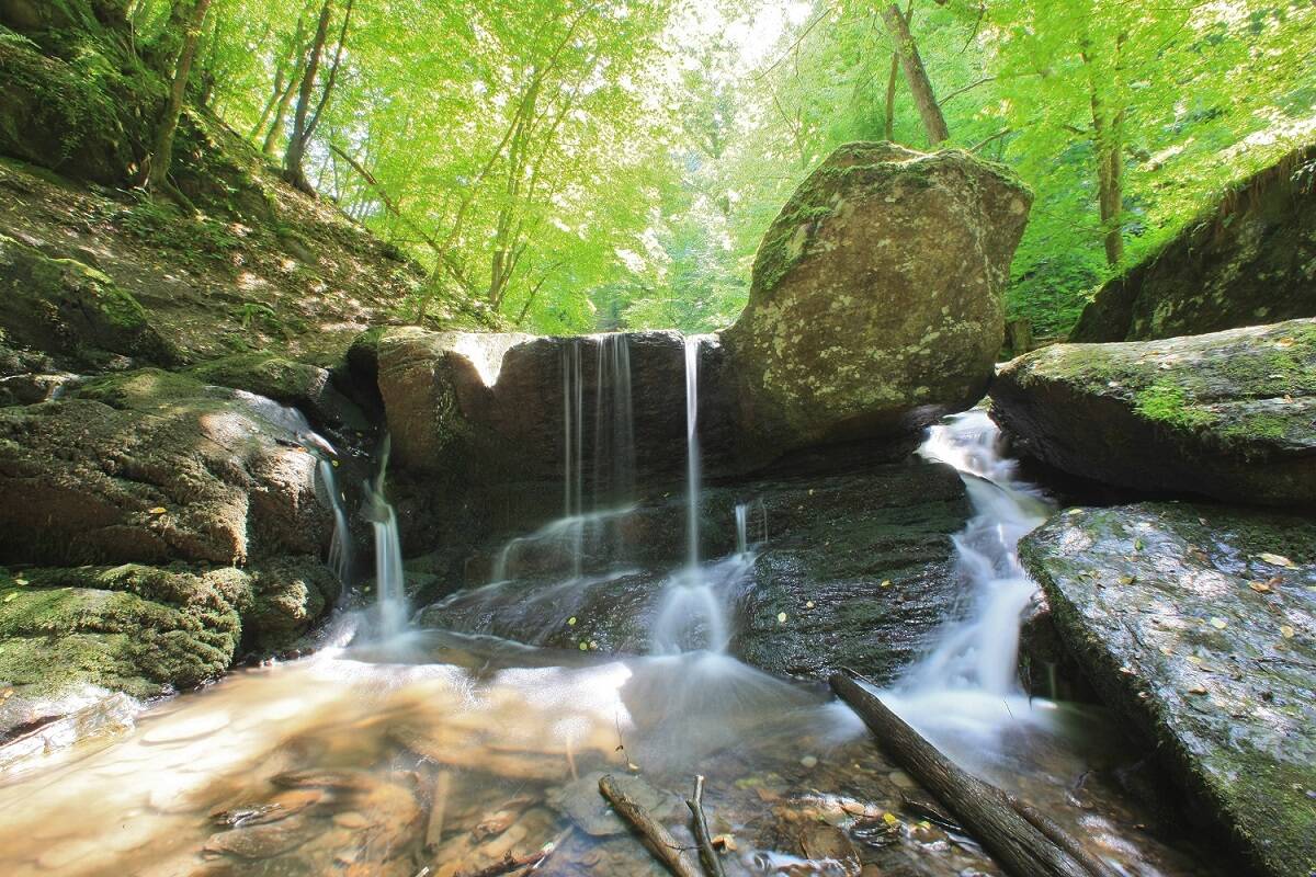 Traumschleife ehrbachklamm wasser