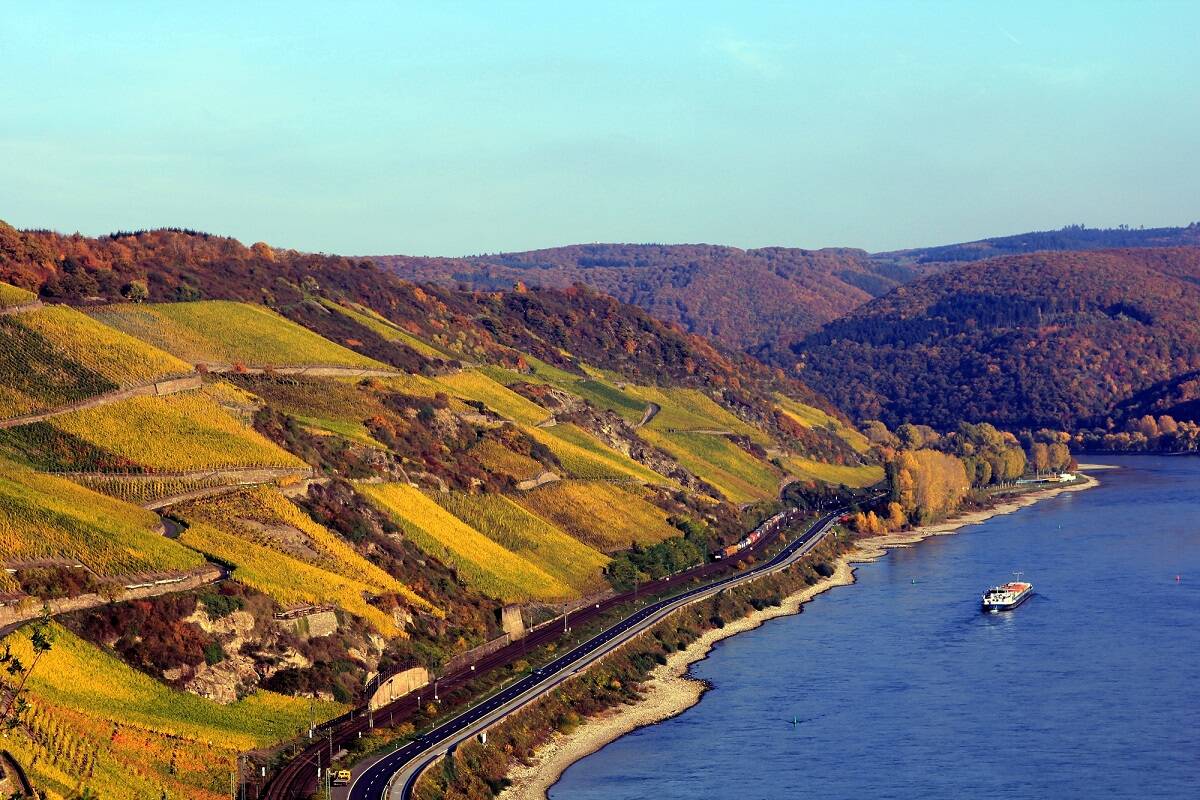 Bopparder Hamm Herbst Rheinblick