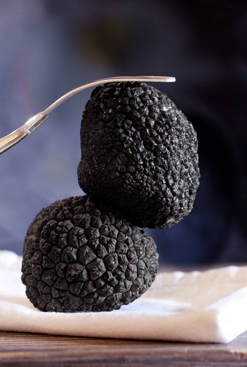 truffle, fork, napkin, fungus, truffle, truffle, truffle, truffle, truffle