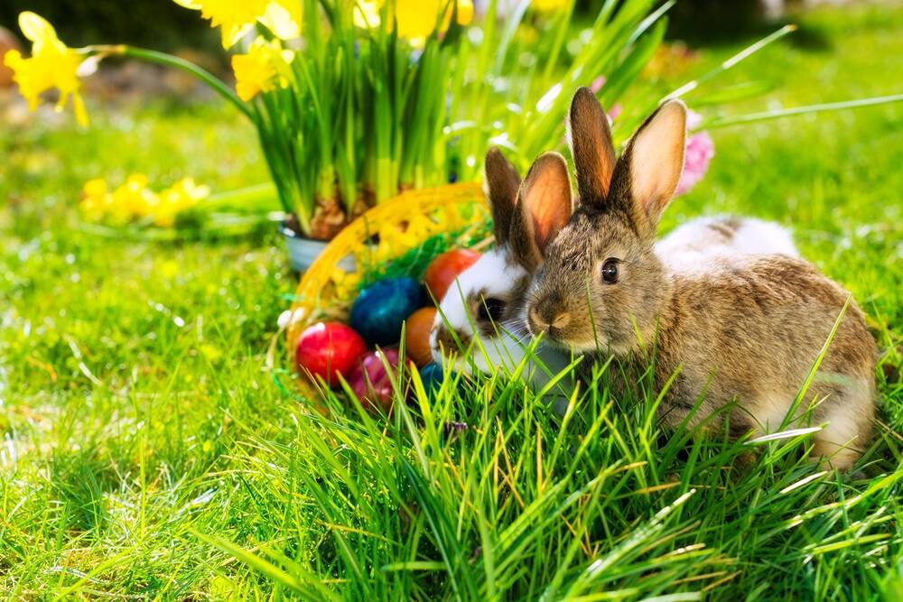 Ostern